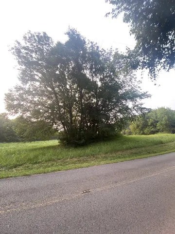 a view of a grassy field with trees