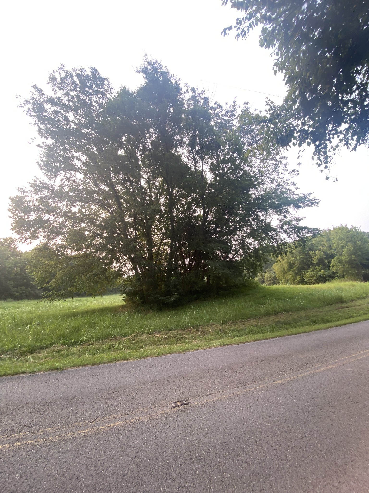 0 Smith Fork Road Liberty, TN 37095 - Photo 8 of 16 a view of outdoor space and yard