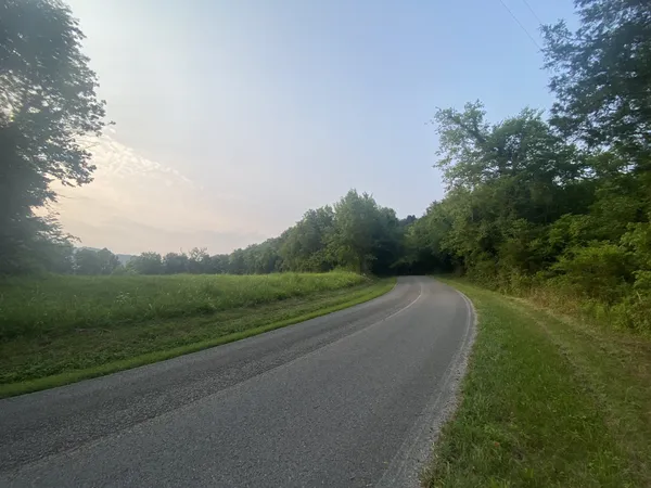 a view of a grassy field with trees