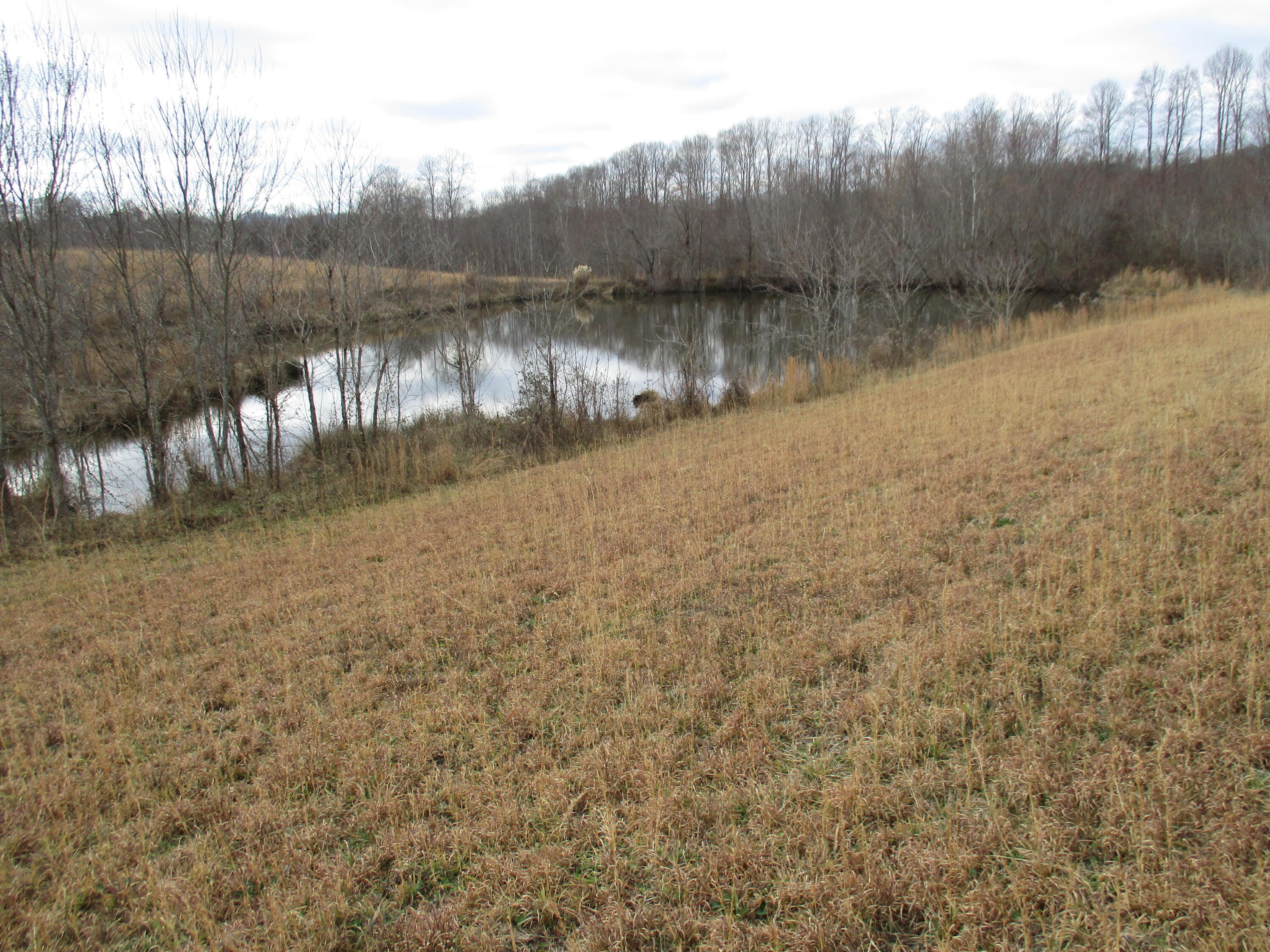 1015 Louden Road Williamsburg, KY 40769 - Photo 12 of 22 IMG_9461