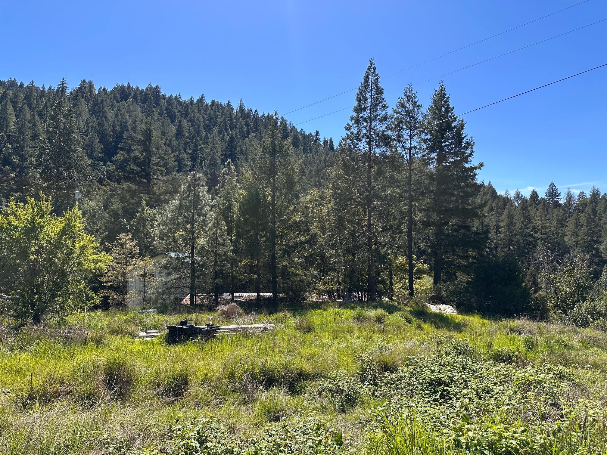 232 East Perch Creek Road Orleans, CA 95556 - Photo 12 of 14