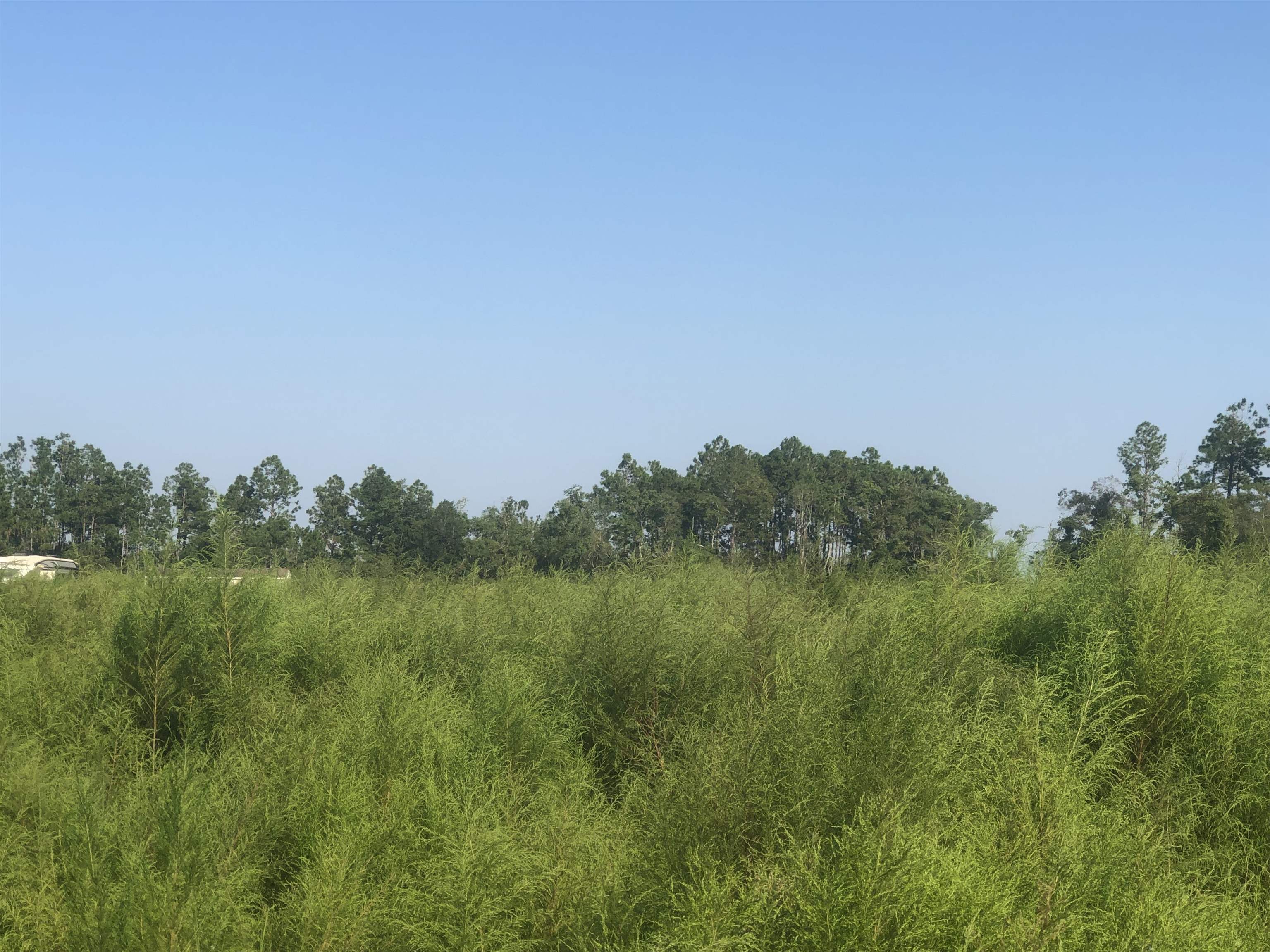 95 County Road Elberta, AL 36530 - Photo 3 of 6