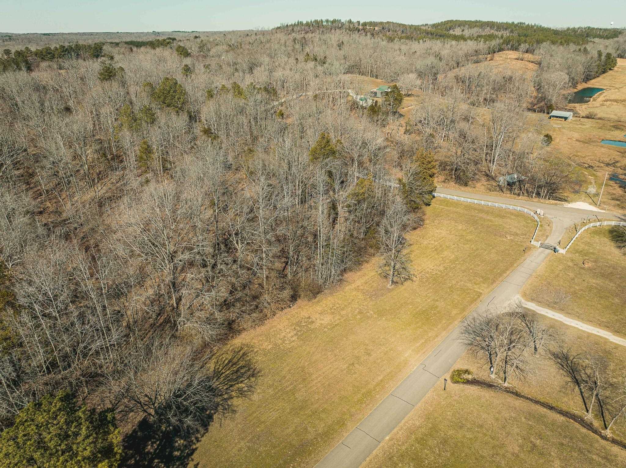 Lot 141 Creek Ridge Cove Parsons, TN 38363 - Photo 10 of 17 Birds eye view of property