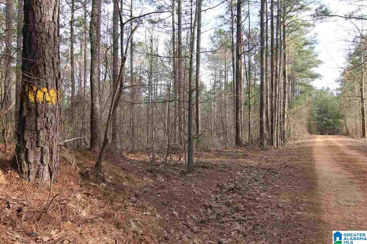 500 Lil Beaver Road, Unit 260 AC Daviston, AL 36256 - Photo 4 of 20