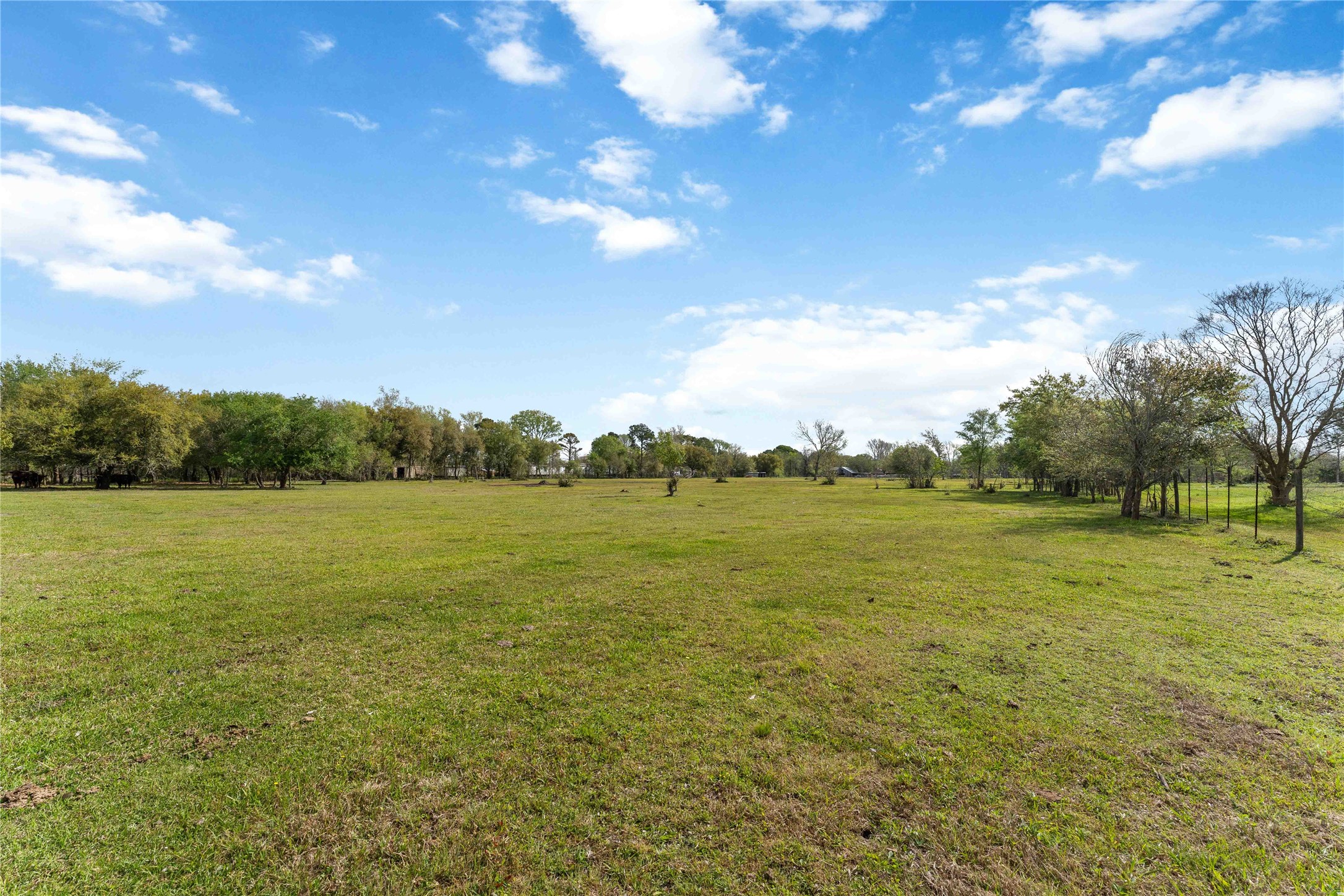 0 Burdock Drive Santa Fe, TX 77510 - Photo 6 of 10 a view of an ocean from a yard