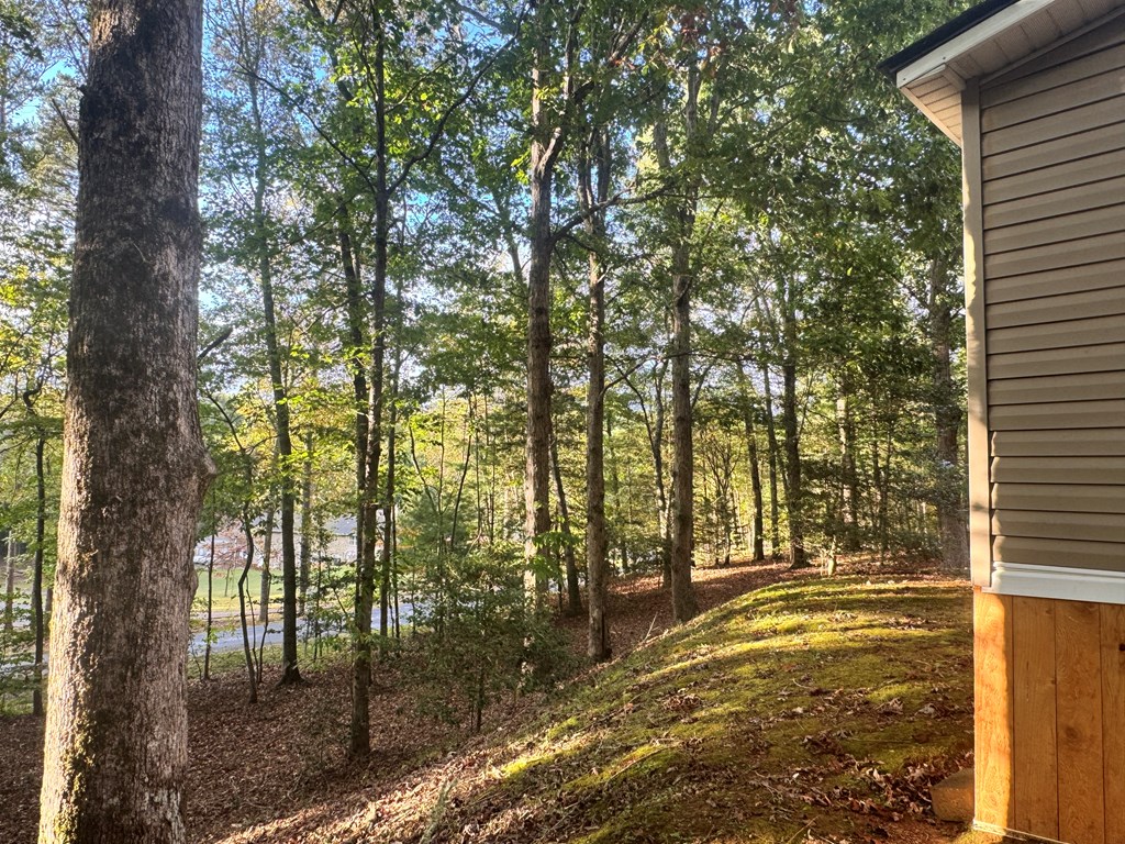 459 Vandora Suits Road Murphy, NC 28906 - Photo 33 of 40 a view of a yard with trees