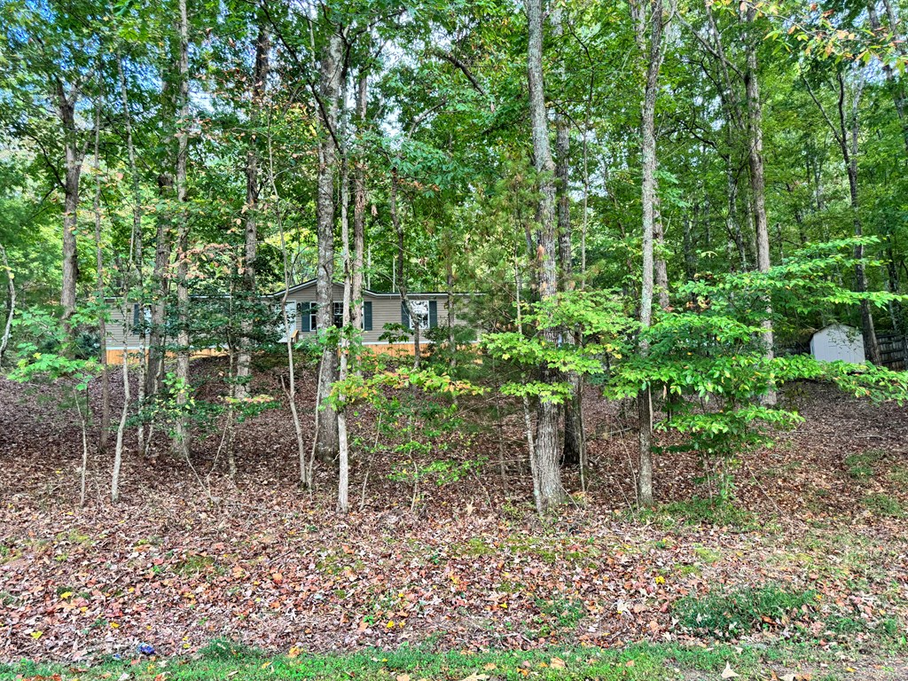 459 Vandora Suits Road Murphy, NC 28906 - Photo 39 of 40 a backyard of a house with lots of green space