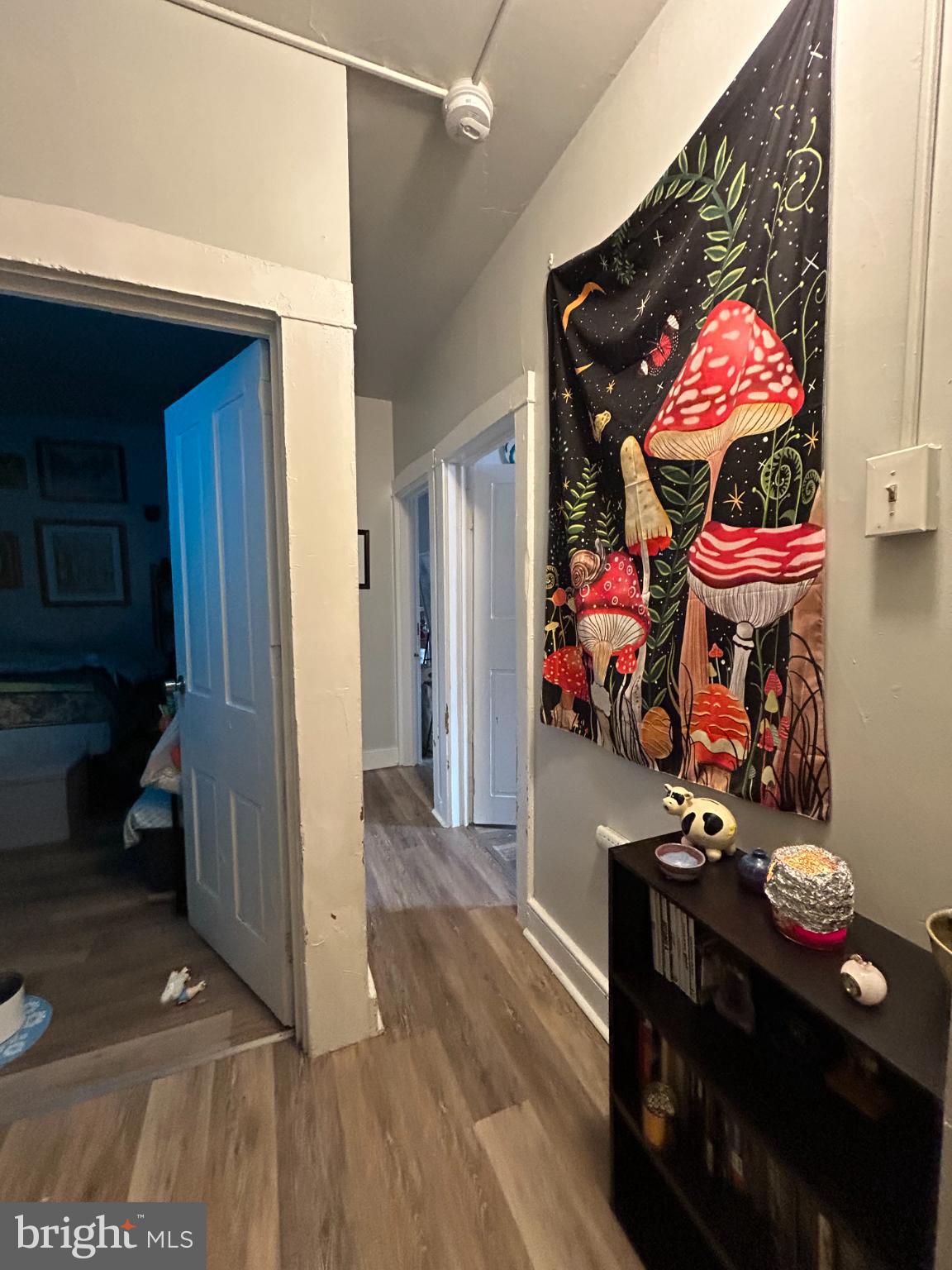 432 South Queen Street Lancaster, PA 17603 - Photo 8 of 19 Whimsical hallway adorned with vibrant art.