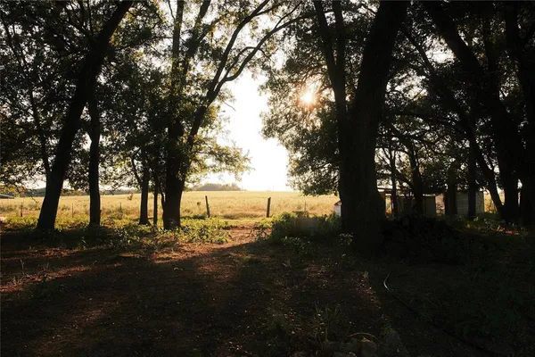 a view of outdoor space and yard