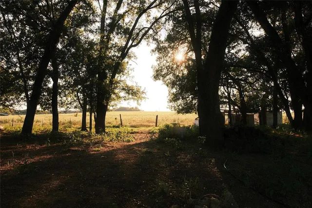 a view of outdoor space and yard