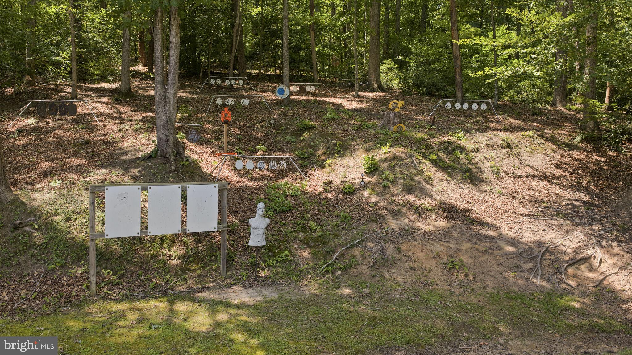 7409 River Road Fredericksburg, VA 22407 - Photo 97 of 140 Target Practice Anyone?