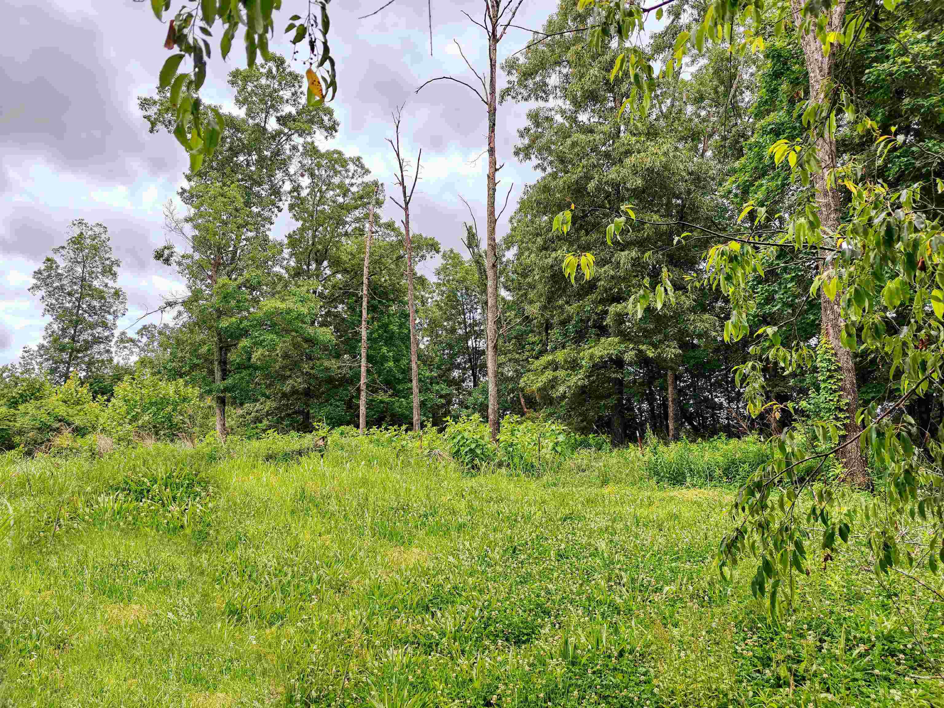 1840 Hebron Church Road Bruceton, TN 38317 - Photo 24 of 27 Photo 24