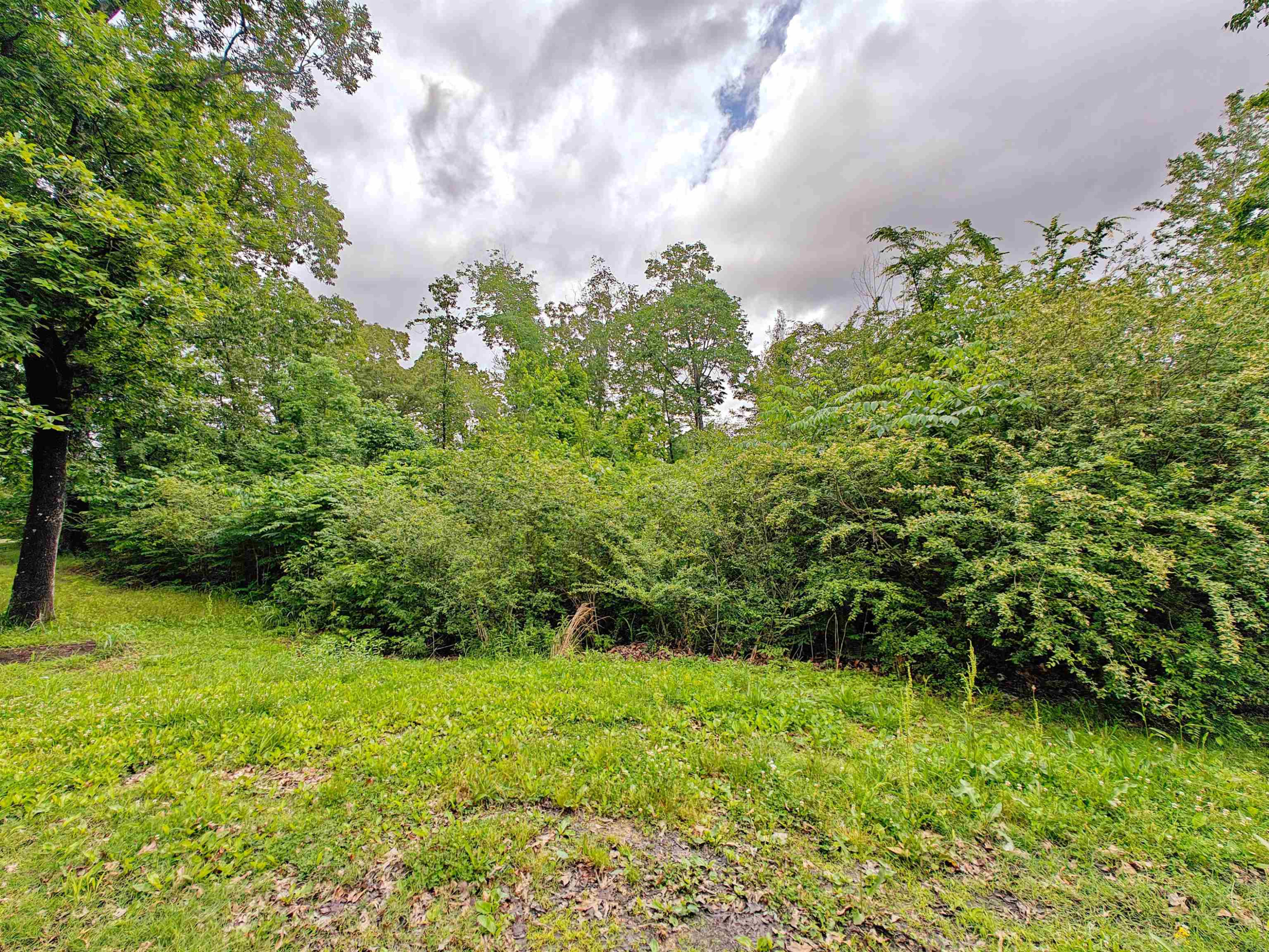 1840 Hebron Church Road Bruceton, TN 38317 - Photo 26 of 27 Photo 26
