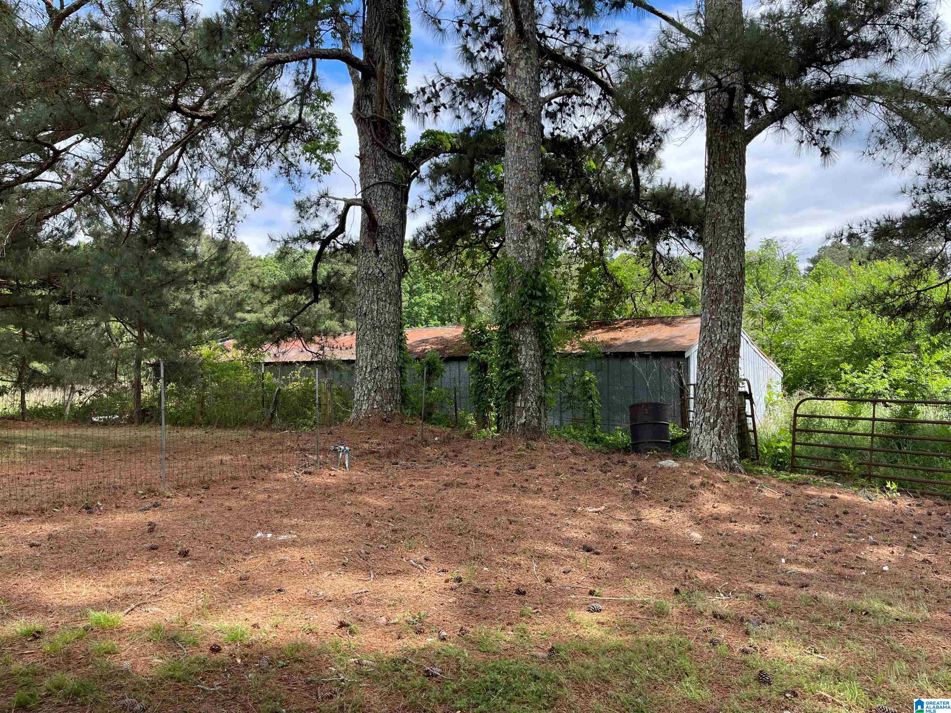 3730 Graves Gap Road Hayden, AL 35079 - Photo 9 of 27