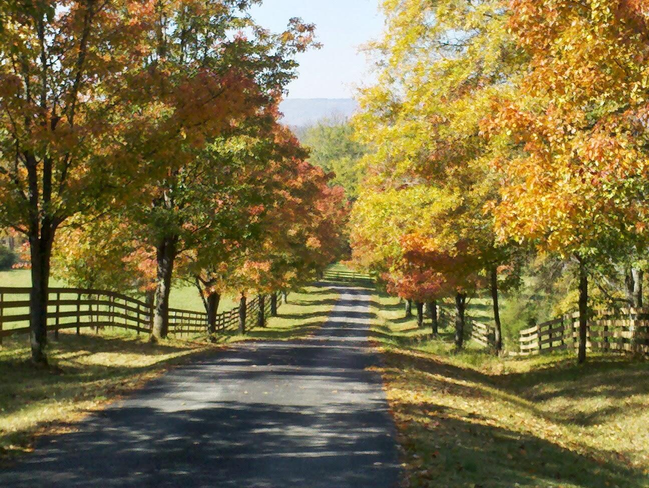 914 Rector Road Jasper, TN 37347 - Photo 1 of 24 914 Rector Rd NewPrimary