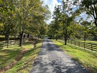 914 Rector Road Jasper, TN 37347 - Photo 2 of 24 914 Rectir Rd38