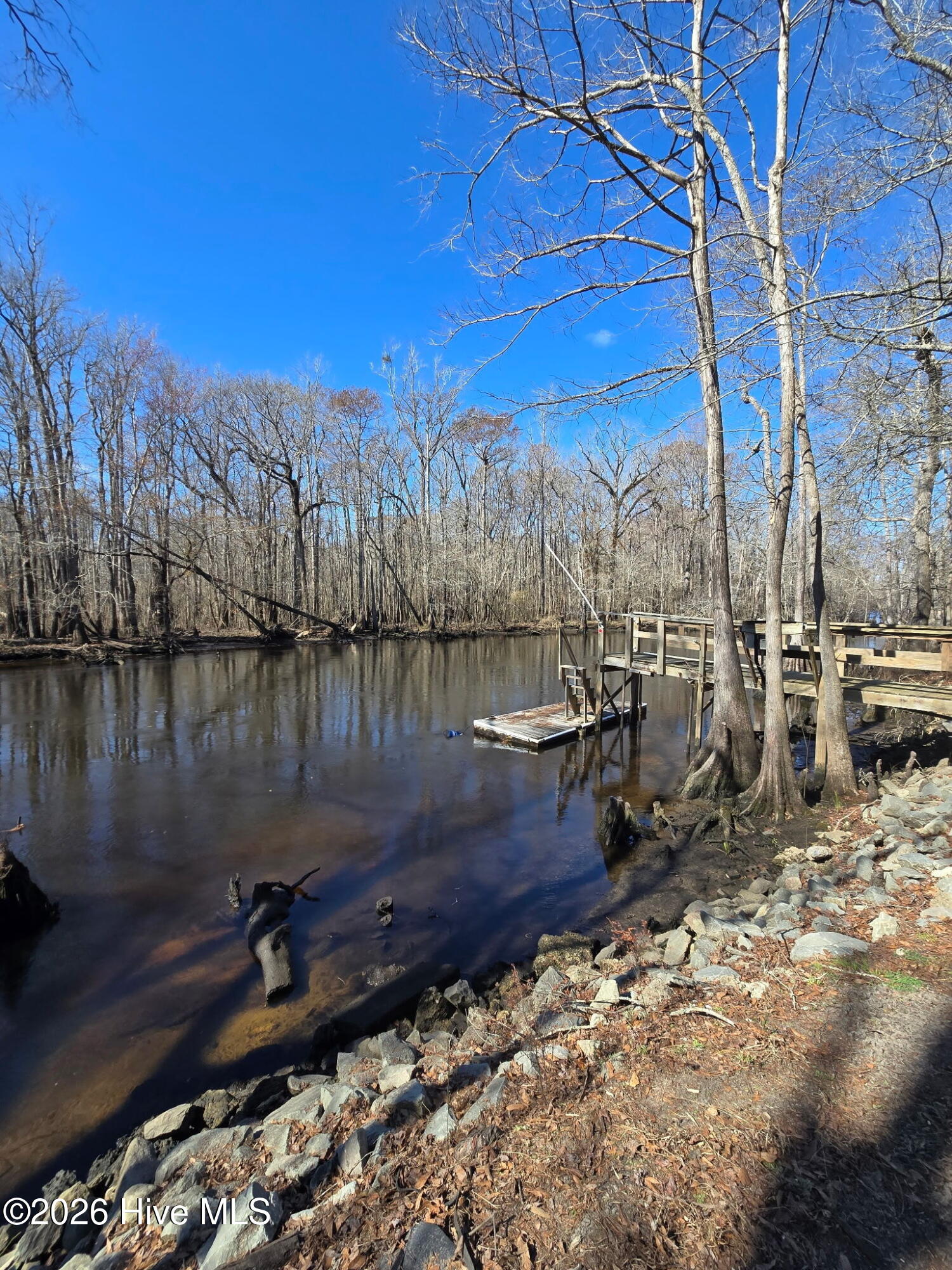 203 Estate Road Atkinson, NC 28421 - Photo 2 of 11 Beautiful Surroundings