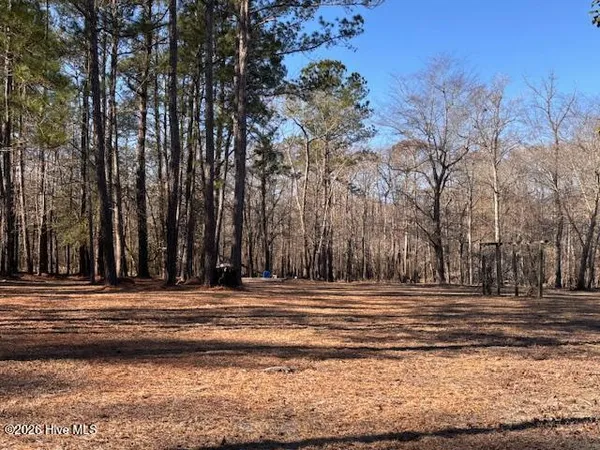 $50,000 | 203 Estate Road, Atkinson, NC 28421