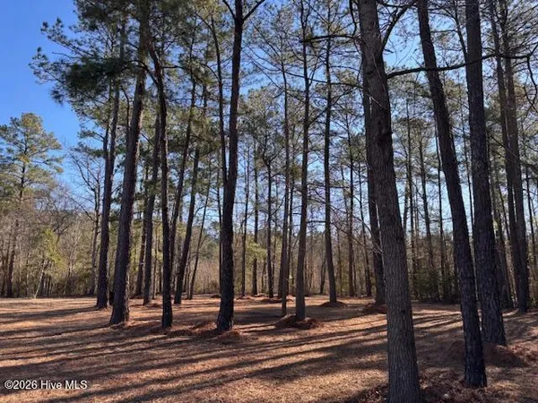 $50,000 | 203 Estate Road, Atkinson, NC 28421