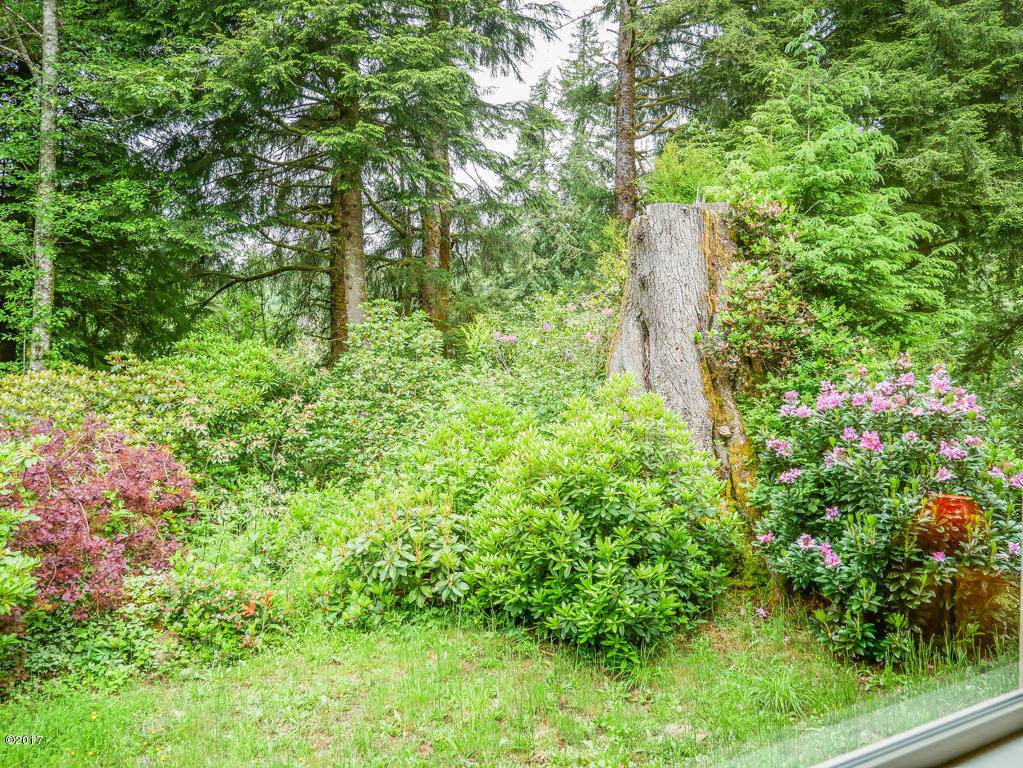 847 Hamer Road Siletz, OR 97380 - Photo 23 of 79 View from master suite