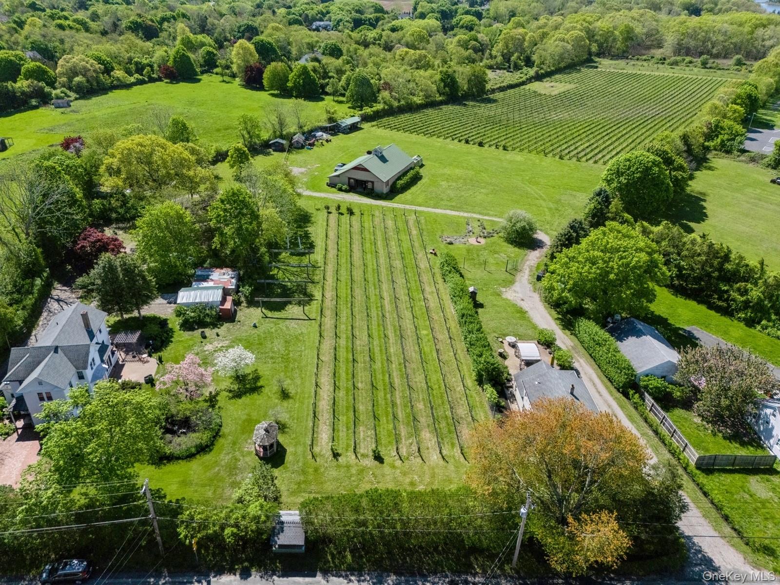 a view of a garden with an outdoor seating