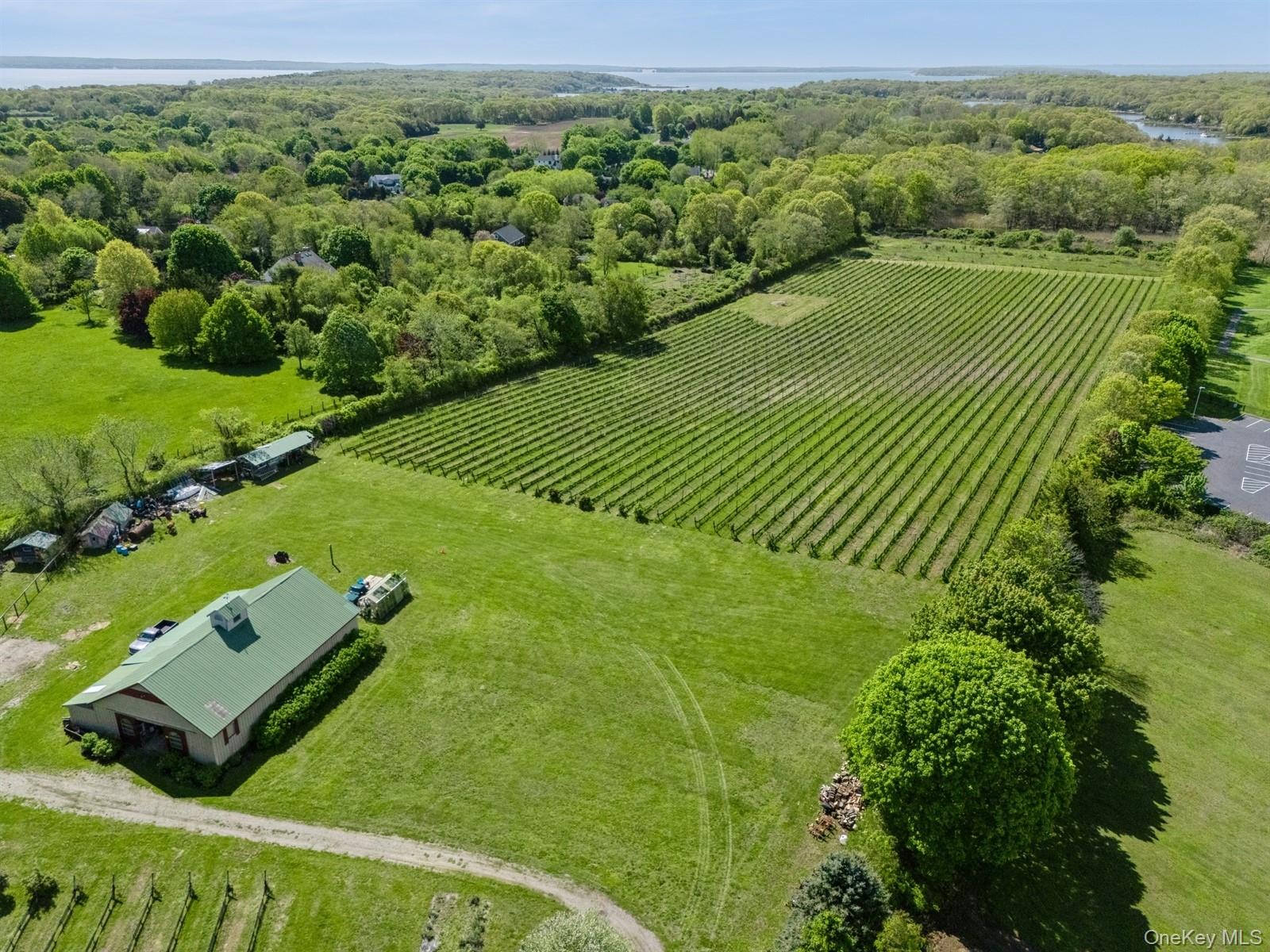 35950 Main Road Cutchogue, NY 11935 - Photo 2 of 39 a view of a lush green space