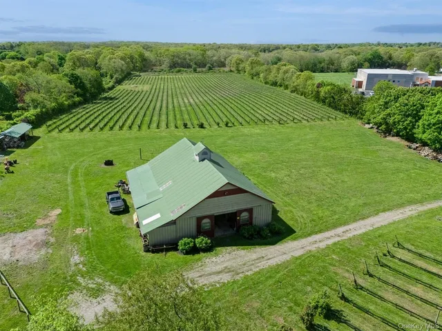 a view of a back yard