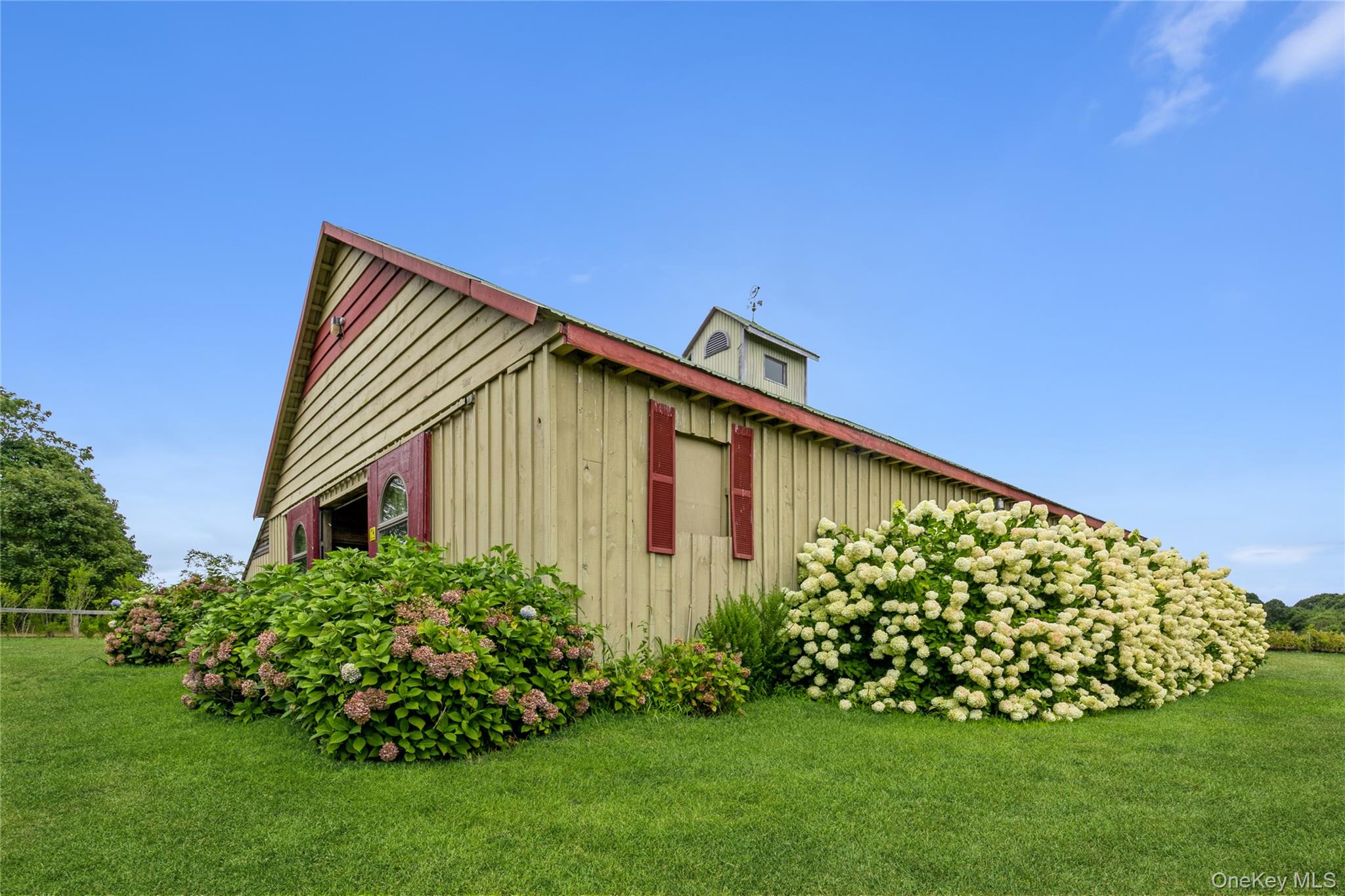 35950 Main Road Cutchogue, NY 11935 - Photo 34 of 39 a view of a backyard with plants and large trees