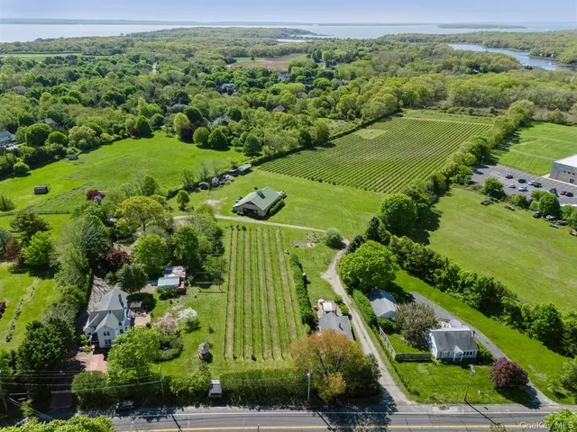 an aerial view of a residential houses with outdoor space and trees all around