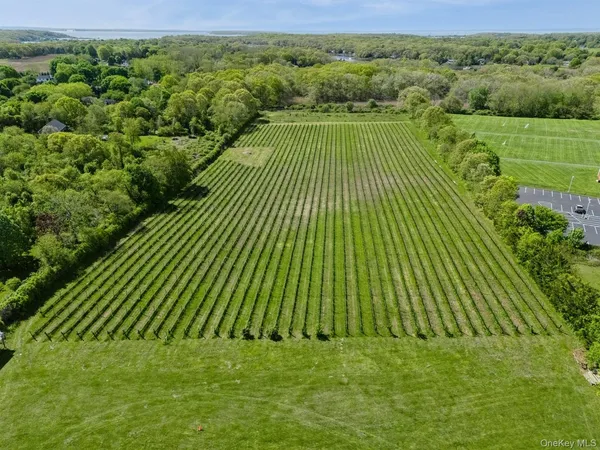 a view of a green field