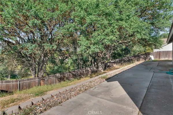 a view of a park with large trees