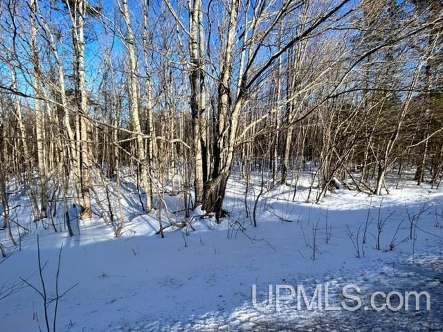 Tbd Tbd Canal Road Houghton, MI 49931 - Photo 15 of 19