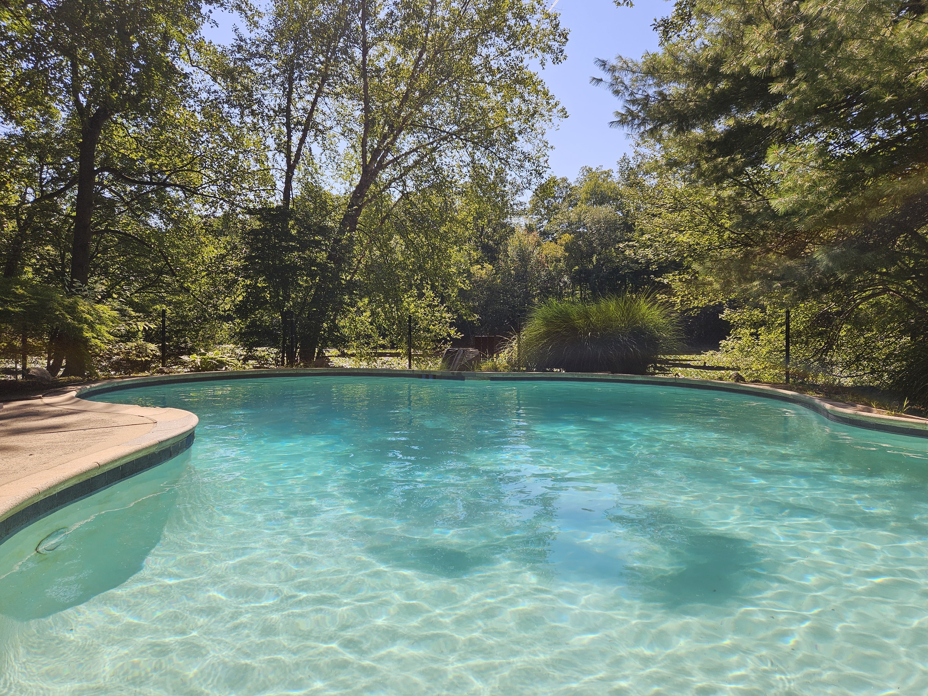 115 Mayapple Road Stamford, CT 06903 - Photo 32 of 38 a view of a yard