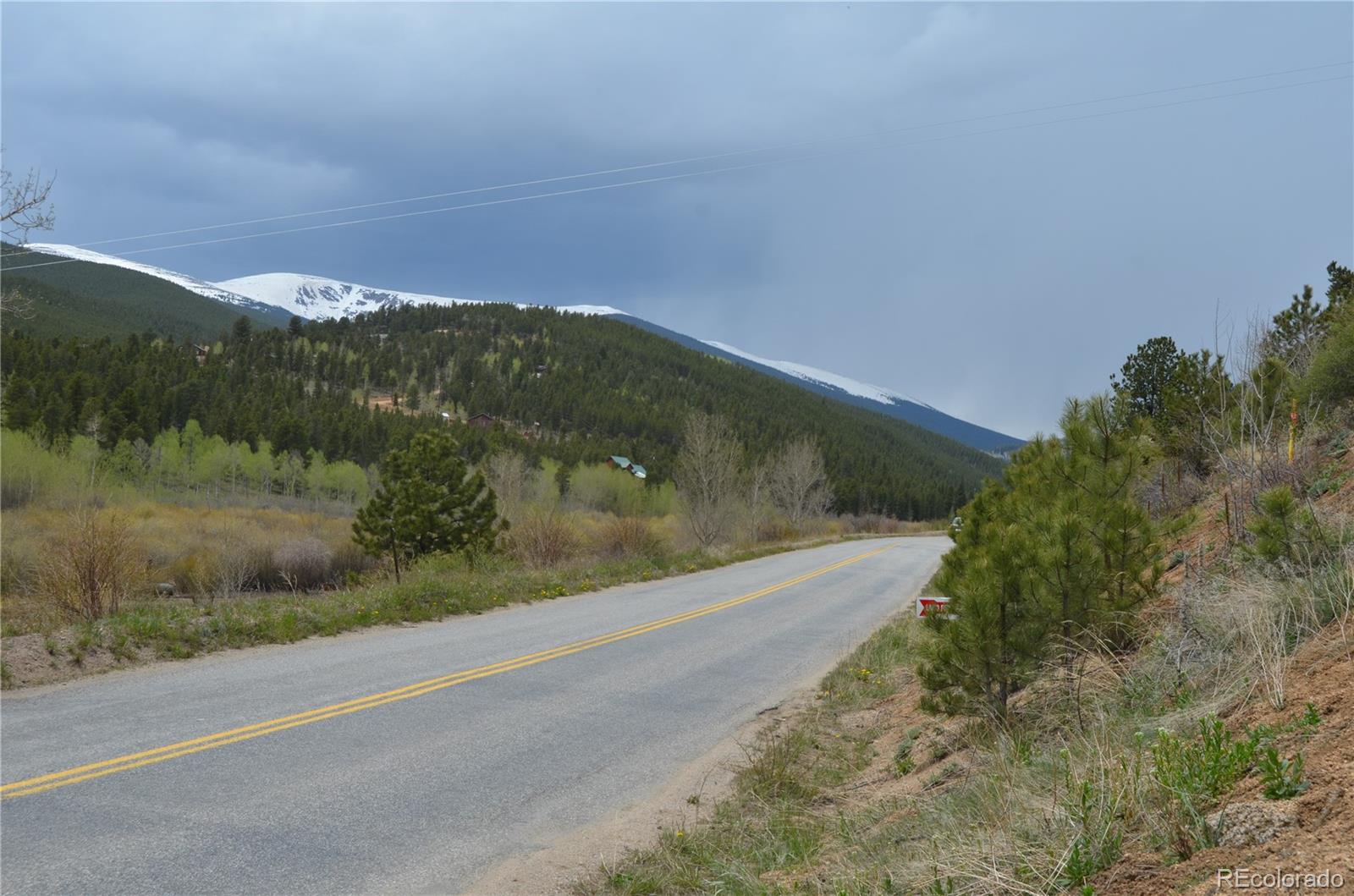 195 Baker Road Bailey, CO 80421 - Photo 1 of 24 a view of a road with a yard