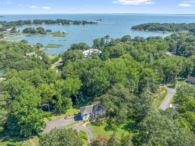 an aerial view of green landscape with trees houses and lake view