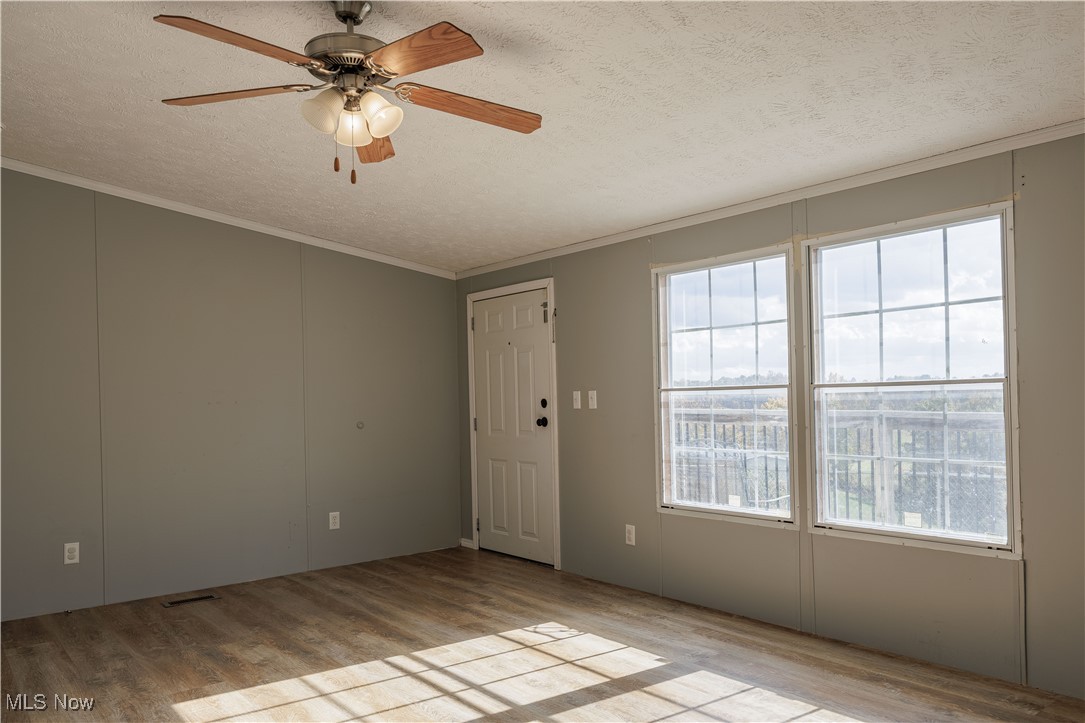 540 Wine Road Elizabeth, WV 26143 - Photo 18 of 49 Unfurnished room featuring a textured ceiling, ornamental molding, light wood-style flooring, and a ceiling fan