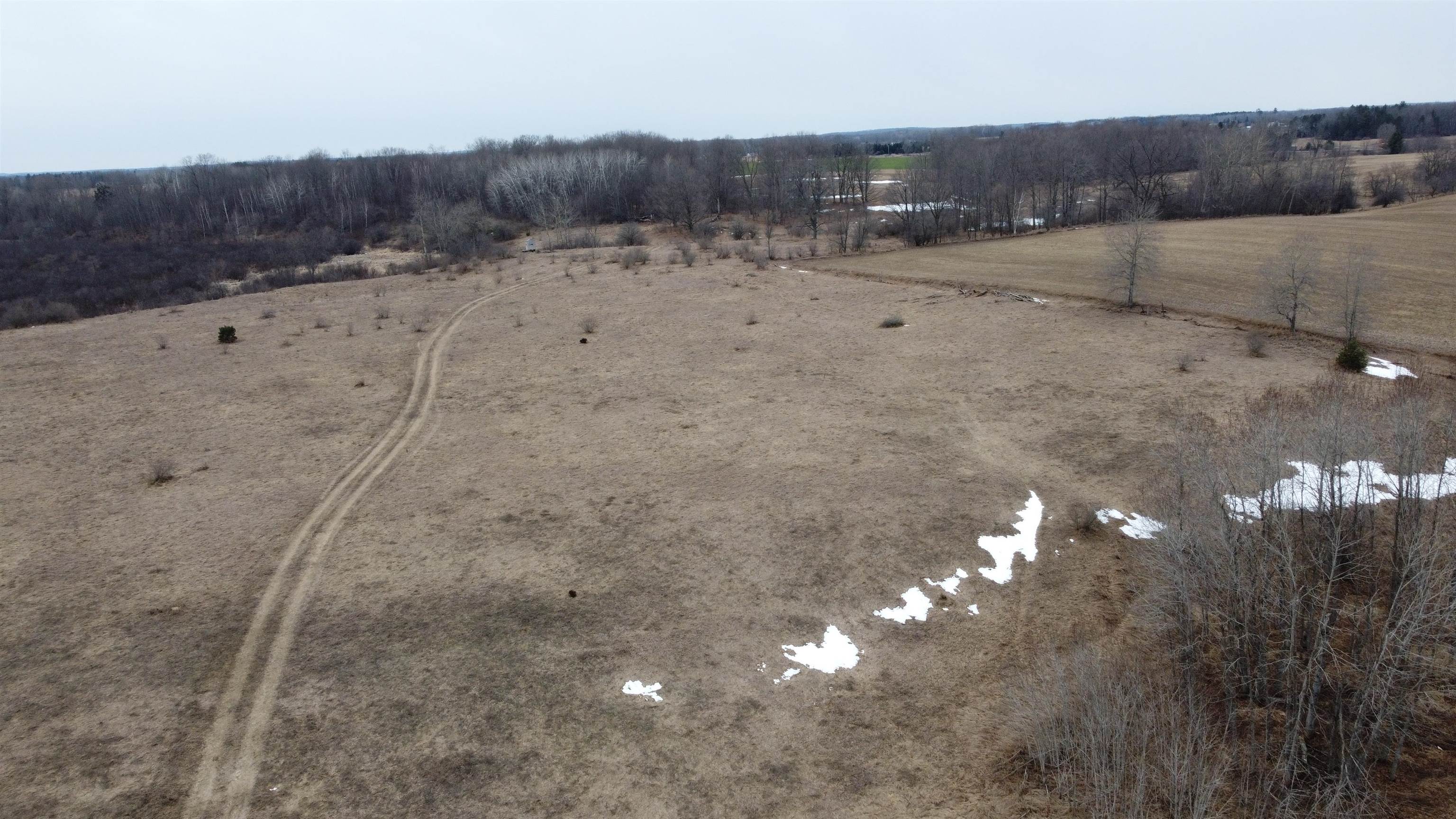 X McCauley Road West Branch, MI 48661 - Photo 8 of 27