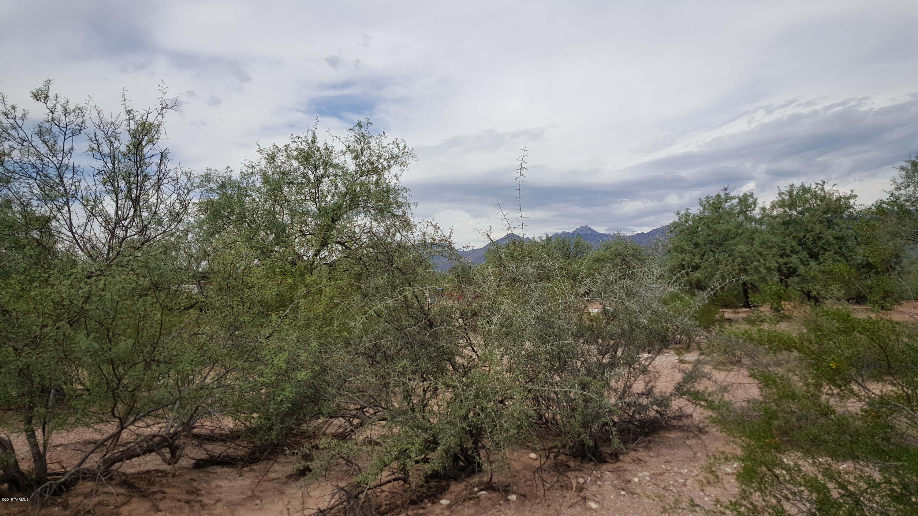 Tbd North Wendell Road Tucson, AZ 85749 - Photo 1 of 8