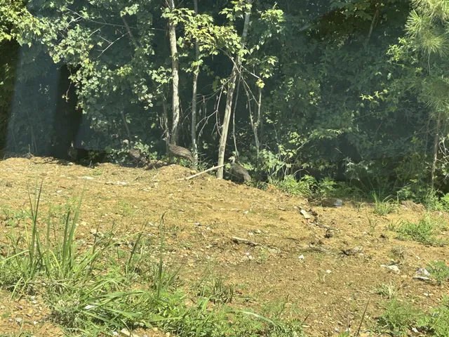 a close up of a sink