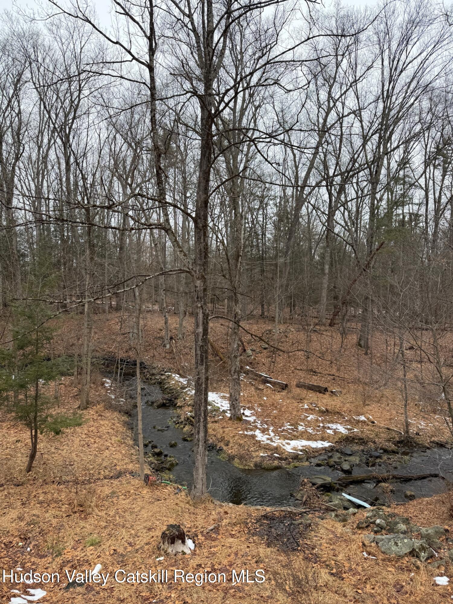 332 Mohonk Road High Falls, NY 12440 - Photo 3 of 24 a view of a forest filled with trees
