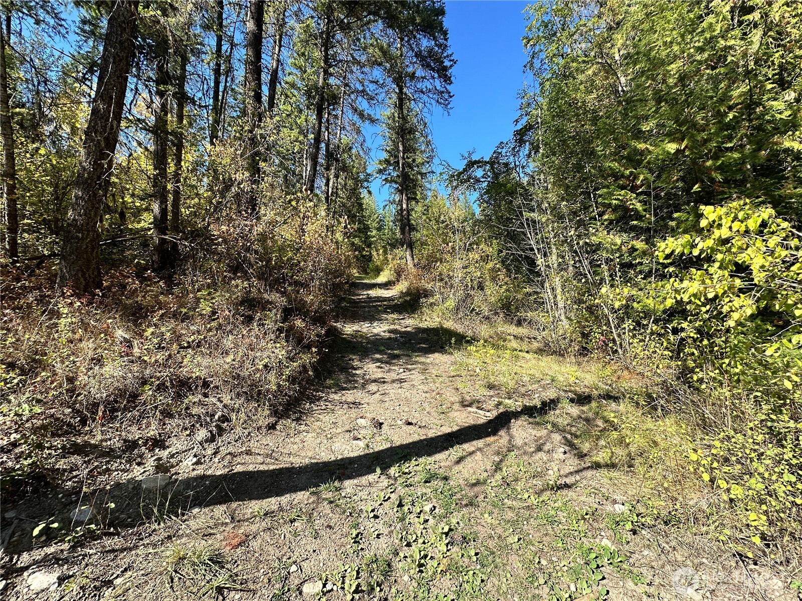 3 Deadman Creek Road Kettle Falls, WA 99141 - Photo 4 of 24 Gallery Image 4