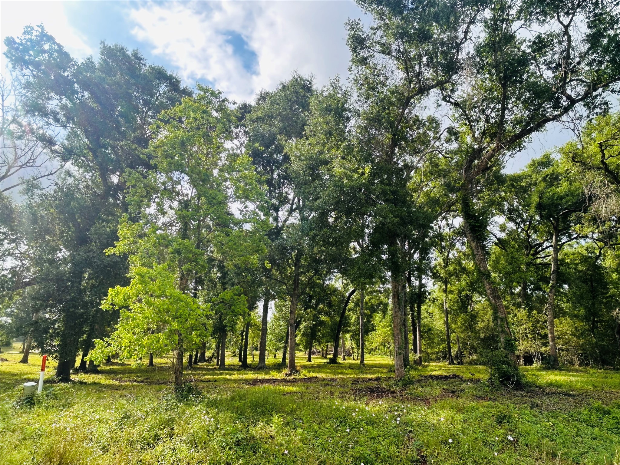 1214 Chuck Wagon Court Angleton, TX 77515 - Photo 1 of 17 a view of park