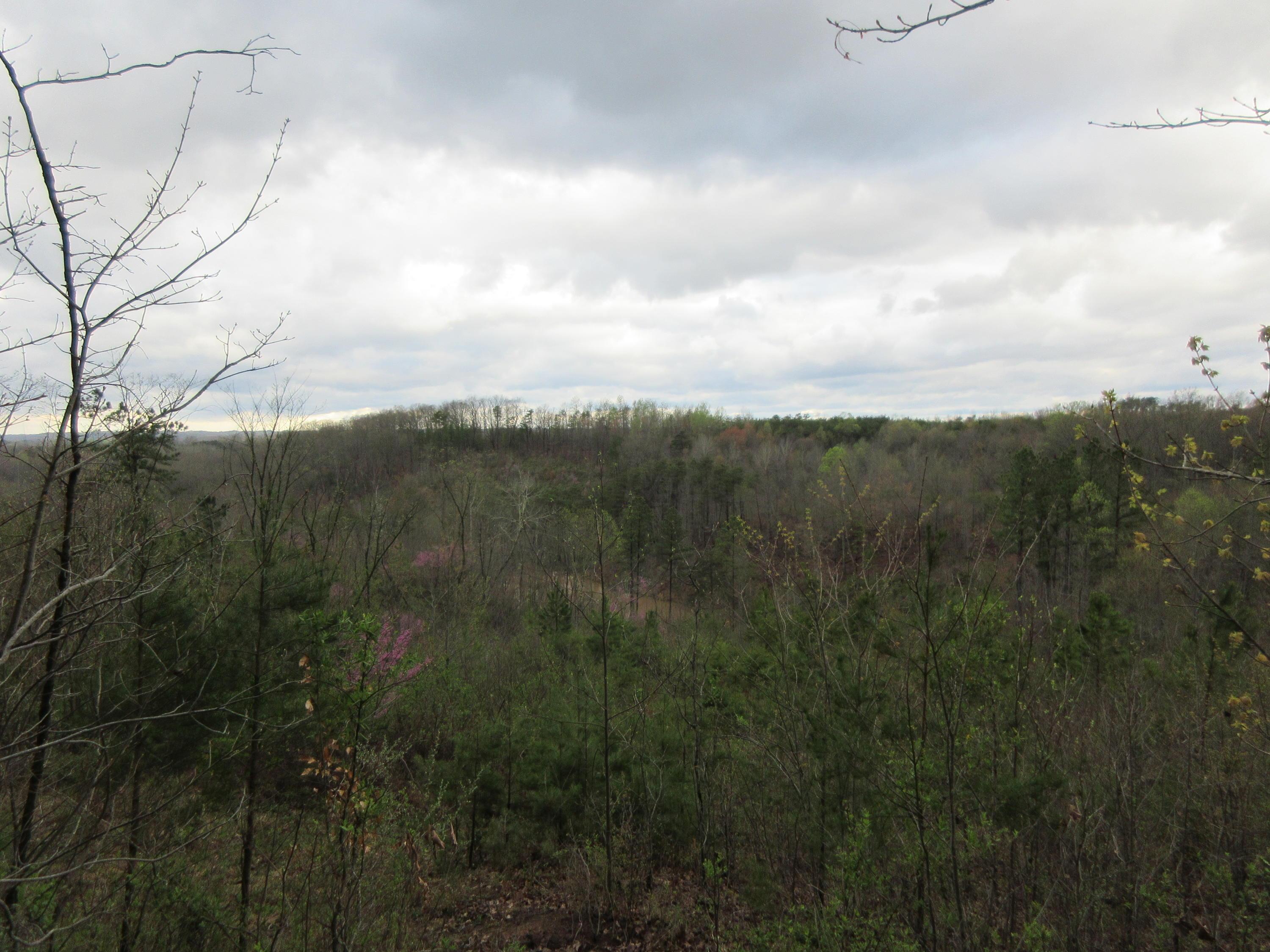 0 Coolville Road Reedsville, OH 45772 - Photo 3 of 9