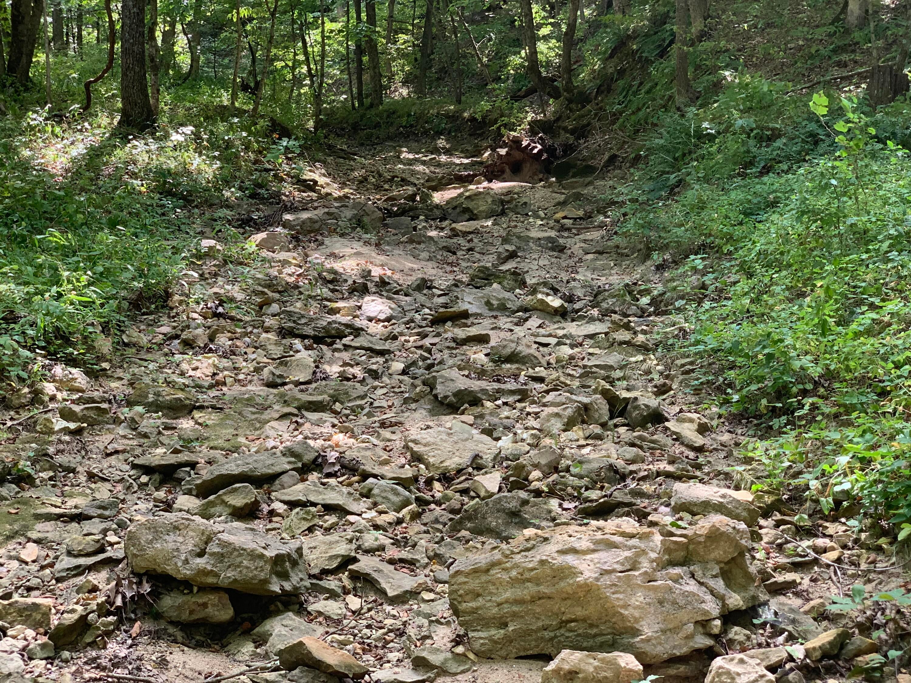 Branch Road Fulton, MO 65251 - Photo 1 of 10 405