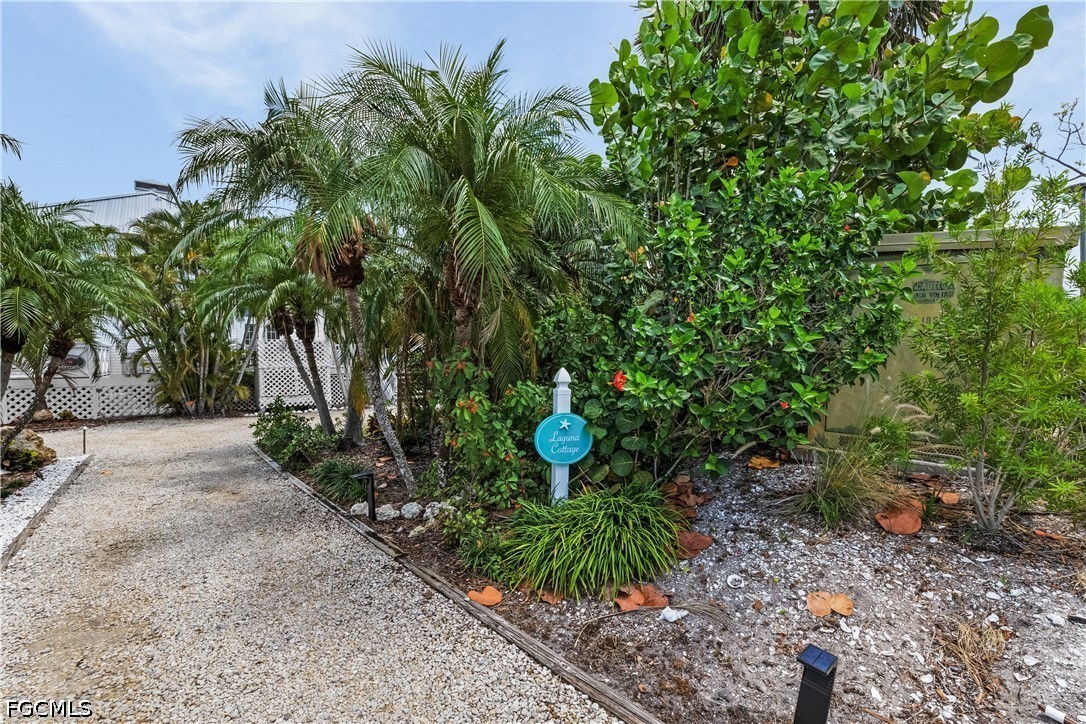 515 Useppa Useppa Island Bokeelia, FL 33922 - Photo 43 of 43 a plant is in a garden