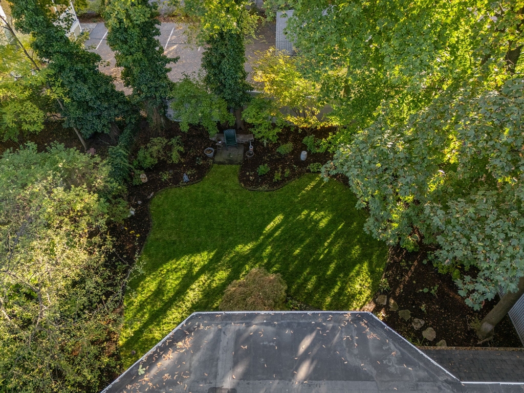 59 R Ellery Street Cambridge, MA 02138 - Photo 5 of 26