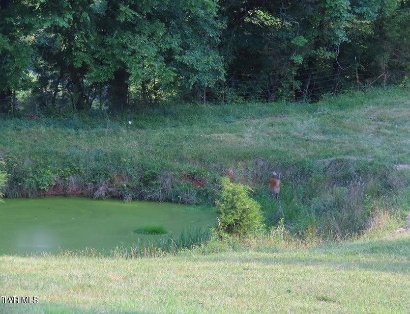 901 Ball Field Road Gate City, VA 24251 - Photo 31 of 34 20260625233946028744000000-o