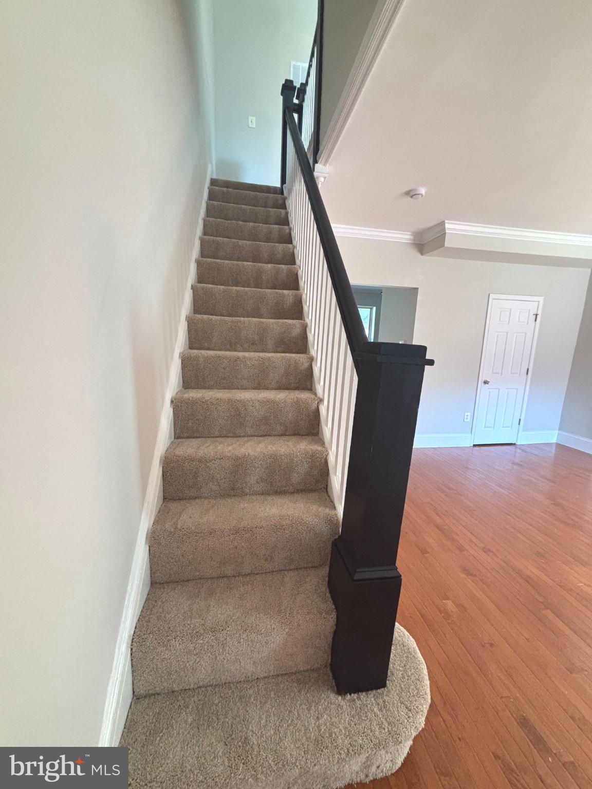 332 Marydell Road Baltimore, MD 21229 - Photo 6 of 12 Inviting staircase to new beginnings.