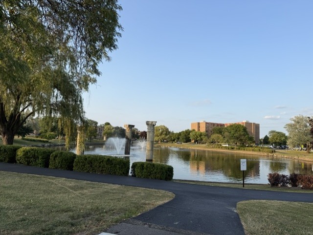 601 West Huntington Commons Road, Unit 302 Mount Prospect, IL 60056 - Photo 16 of 17