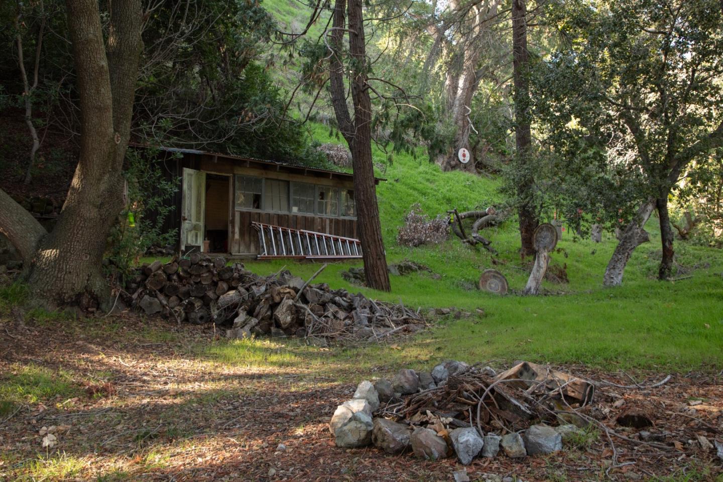 2000 Scott Creek Road Milpitas, CA 95035 - Photo 12 of 89 a garden with lots of trees